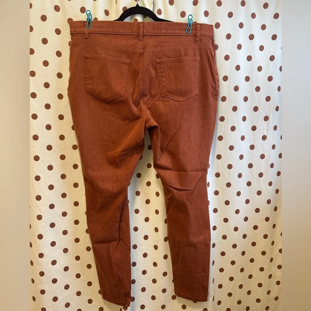 Time and Tru Jeggins, Rust Color, Size XXL (20), Gently Used - Picture 2 of 4